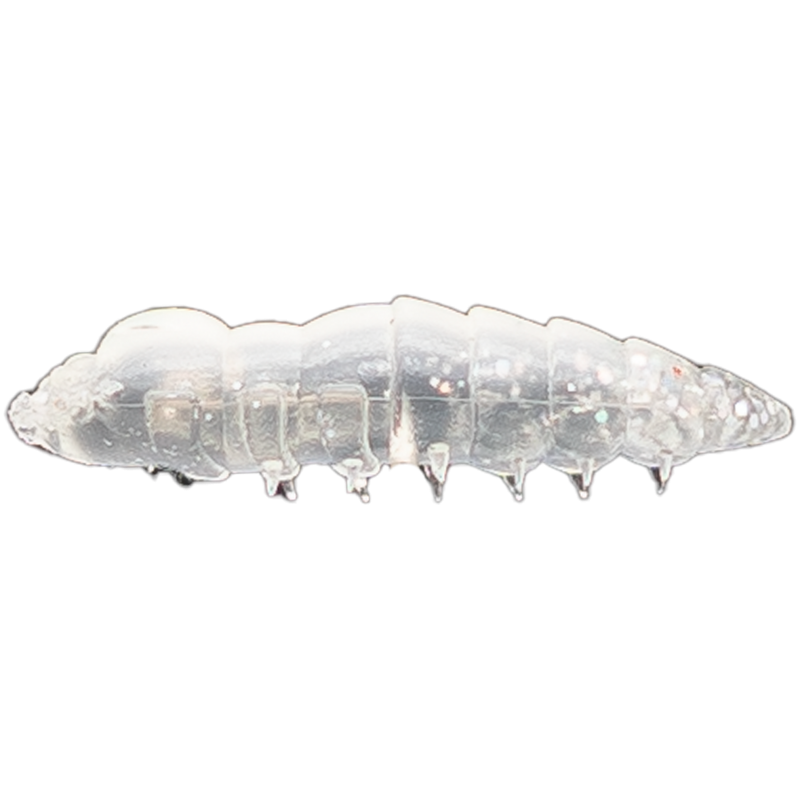ASB Lures - Cajus - 001 ASB Lures - Cajus - 001