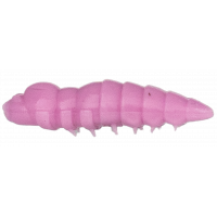 ASB Lues Cajus - Farbe: 005