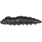 ASB Lures - Cajus - 014 ASB Lures - Cajus - 014