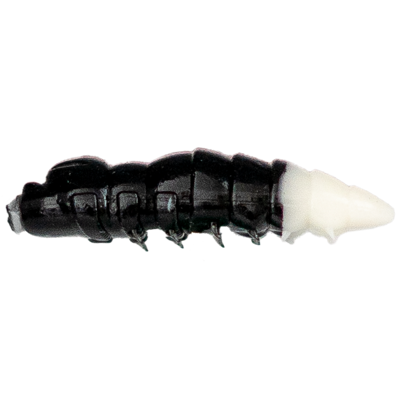 ASB Lures - Cajus - 021 ASB Lures - Cajus - 021