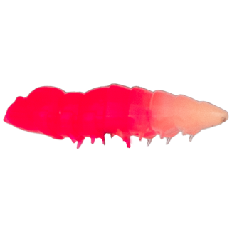 ASB Lues Cajus - Farbe: 040