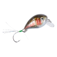 UV Confidential Baby Crank 28mm "Regenbogenforelle"