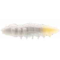 ASB Lues Cajus - Farbe: 025