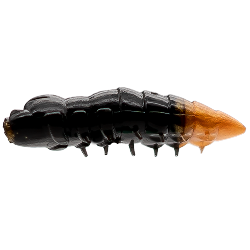 ASB Lures - Cajus - 028 ASB Lures - Cajus - 028