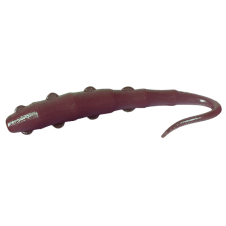 Tango Worm - 006