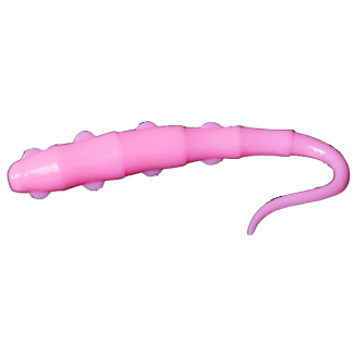 Tango Worm - 031