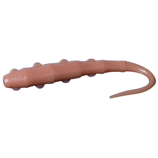 Tango Worm - 036