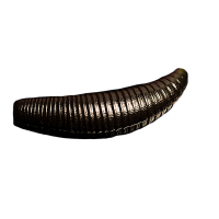 Bruchi - 002
