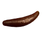 Trout Baits Jara - Bruchi - 004