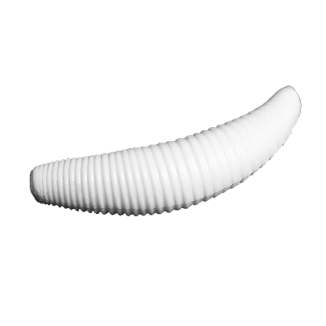 Bruchi - 021