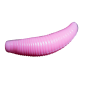 Trout Baits Jara - Bruchi - 031