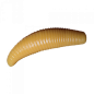 Trout Baits Jara - Bruchi - 037