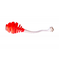 Kasper Worm - 207