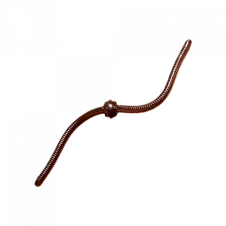 Jum Jum - 004
