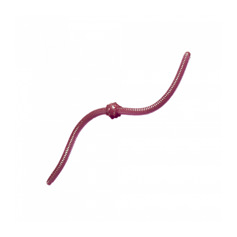 Trout Baits Jara - Jum Jum - 006