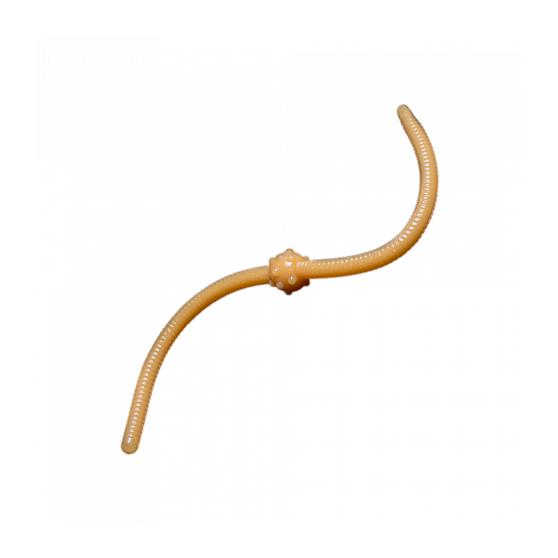 Trout Baits Jara - Jum Jum - 037