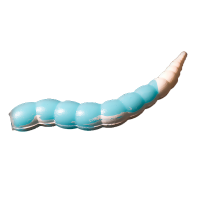 Bufworm - 220