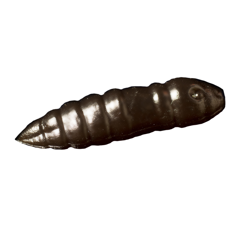 Trout Baits Jara - Moli FAT - 002