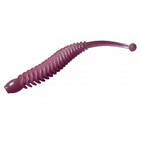 Boxter - 006