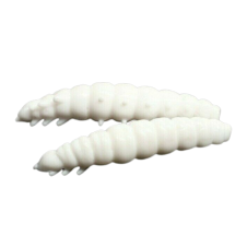 Larva - 001