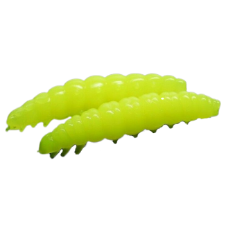 Larva - 006