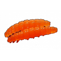 Larva - 011