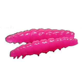 Larva - 019