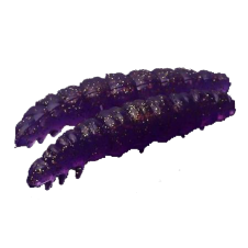 Larva - 020