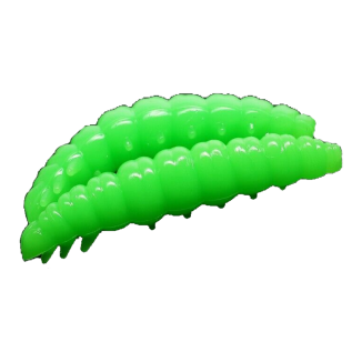 Larva - 026