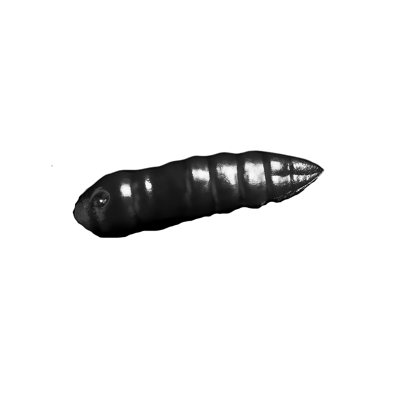 Trout Baits Jara - Moli Mild - 715