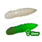 Trout Baits Jara - Moli Mild - 717