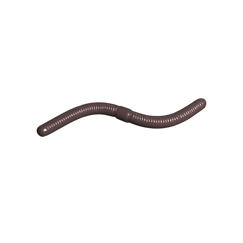 Trout Baits Jara - Royal Jum Jum - 714