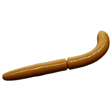 Libra Lures - Fatty D'Worm - 036