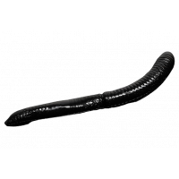 Libra Lures - Fatty D'Worm - 040