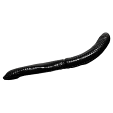 Libra Lures - Fatty D'Worm - 040