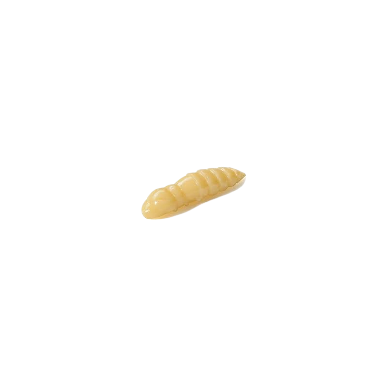 Fishup - Pupa - 108 - Cheese