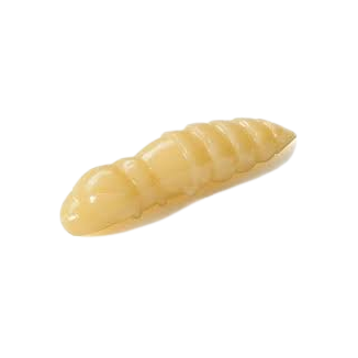 Fishup - Pupa - 108 - Cheese