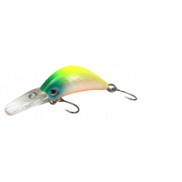 FTM - Masu Security - 1,6g - Regenbogen