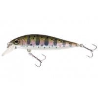 Shimano - Cardiff Pinspot 50S - 07