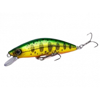 Shimano - Cardiff Folletta 50SS - 01 - Green Back
