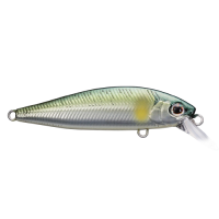 Shimano - Cardiff Folletta 50SS - 02 - River Ayu