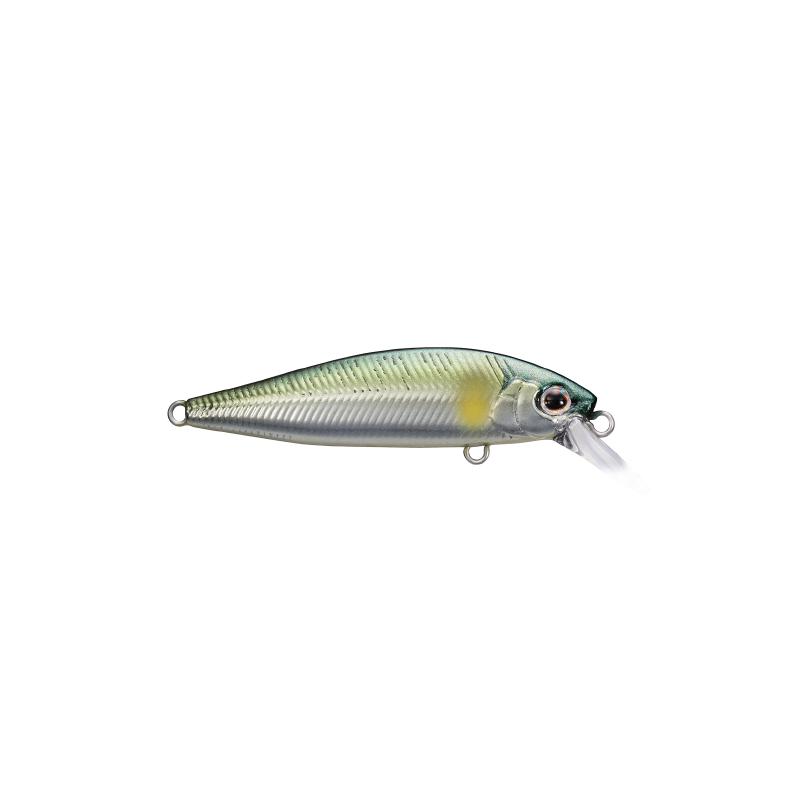 Shimano - Cardiff Folletta 50SS - 02 - River Ayu Shimano - Cardiff Folletta 50SS - 02 - River Ayu