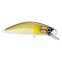 Shimano - Cardiff Folletta 50SS - 05 - Pearl Ayu
