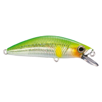 Shimano - Cardiff Folletta 50SS - 06 - Lime Back