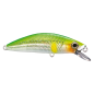 Shimano - Cardiff Folletta 50SS - 06 - Lime Back