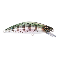 Shimano - Cardiff Folletta 50SS - 07 - Real Bait