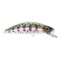 Shimano - Cardiff Folletta 50SS - 07 - Real Bait