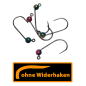 ASB Tackle - Tungsten Jig Hook - Barbless - Rainbow