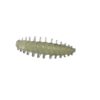 ASB Lures - ACI - 011