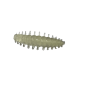 ASB Lures - ACI - 011 ASB Lures - ACI - 011